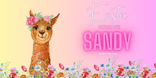 Hauptbild für Pictures with Sandy The Alpaca