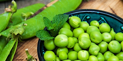 Immagine principale di Green Pea Risotto with Mint & Lemon 