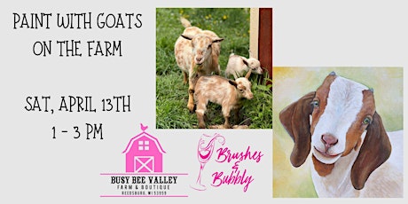 Painting with Goats at Busy Bee Farm