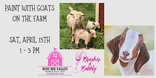 Primaire afbeelding van Painting with Goats at Busy Bee Farm