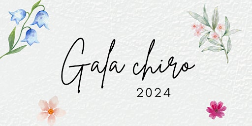 Image principale de Gala chiropratique 2024