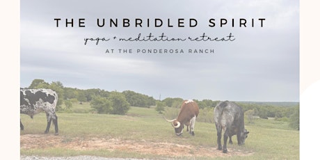 The Unbridled Spirit primary image