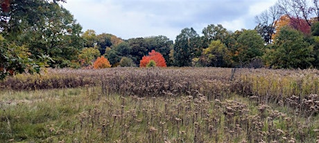 Edward  L Ryerson Conservation Area Walk