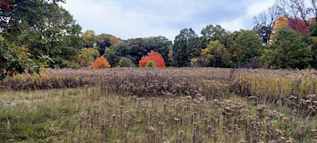 Edward  L Ryerson Conservation Area Walk primary image