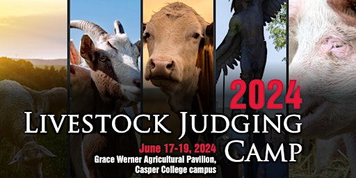 Hauptbild für Livestock Judging Camp 2024