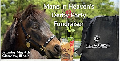 Mane in Heaven Miniature Therapy Horses Derby Party Fundraiser primary image