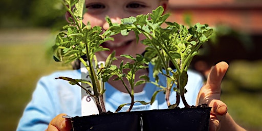 Hauptbild für 2024 Plant-a-Thon Event