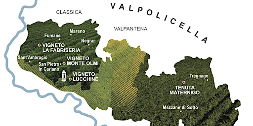 Immagine principale di Valpolicella Classica Wine Tasting 