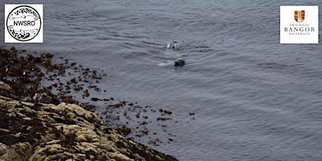 North Wales Marine Conservation Conference