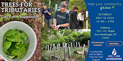 Primaire afbeelding van ORANGE COUNTY - Newburgh - Tree Planting near Quassaick Creek