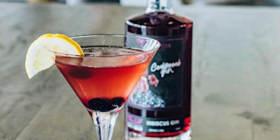 Primaire afbeelding van Cocktail Class @ Two Rivers Distillery! London Dry and Hibiscus gin edition