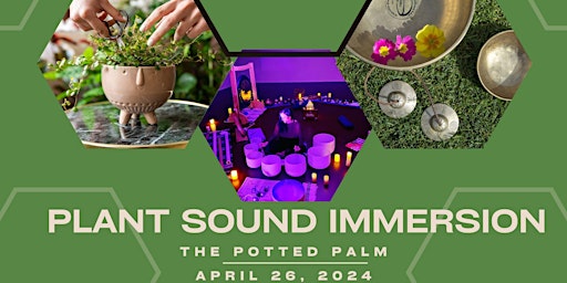 Immagine principale di Plant Sound  Immersion 