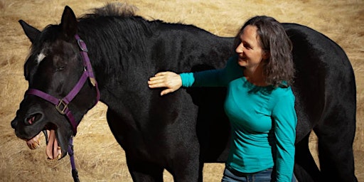 Acupressure for Equine Emergencies primary image