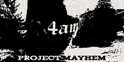 Hauptbild für Project Mayhem