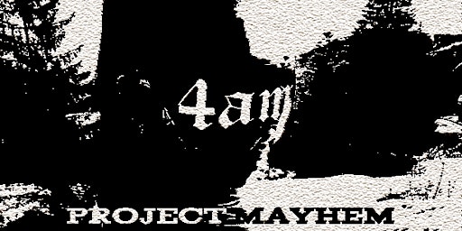 Primaire afbeelding van Project Mayhem