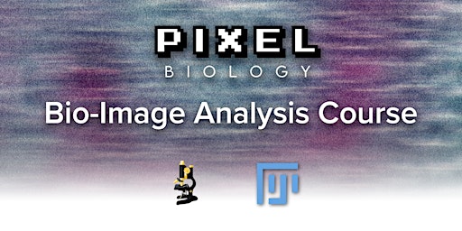 Primaire afbeelding van Image Analysis course with Fiji/ImageJ