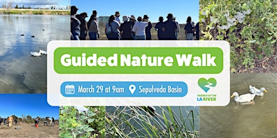 Imagem principal do evento Nature Walk