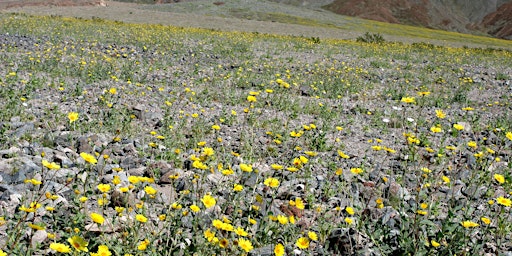 Imagen principal de Death Valley Inyo Associates Dinner 2024