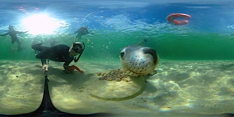 Youth VR Experience: Marine Life of SA (BL)  primärbild