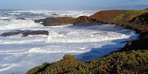 Imagem principal do evento Low Tide Seaweed Walk with Kathy Ann Miller