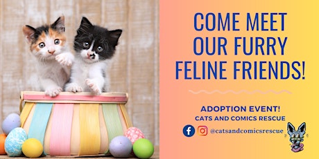 Easter Cats & Coffee - Adoption Event @ Fika Fika Coffee Shop