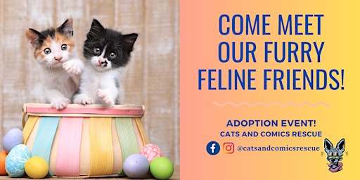 Primaire afbeelding van Easter Cats & Coffee - Adoption Event @ Fika Fika Coffee Shop