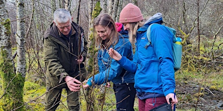 Woodland Habitat Impact Assessment (WHIALite) Workshop - Aviemore