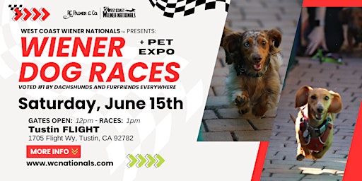 Primaire afbeelding van Wiener Dog Races | West Coast Wiener Nationals TM