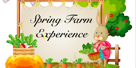 Spring on the Farm Experience