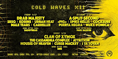 Primaire afbeelding van Cold Waves XII (Chicago VIP Table Tickets)