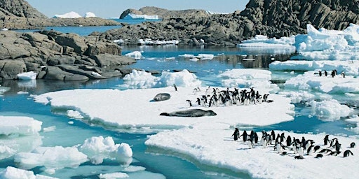 Primaire afbeelding van Seabourn Ocean & Expedition Cruises - Featuring Antarctica and Artic