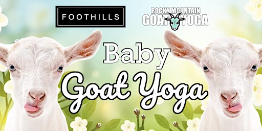 Image principale de Baby Goat Yoga - May 5th (FOOTHILLS)