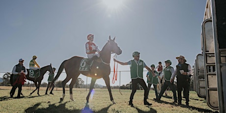 Moremac Property Group Beaudesert Cup Raceday