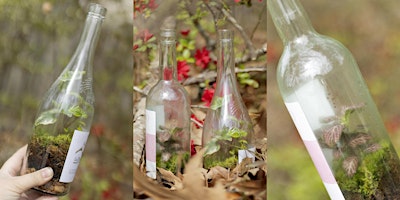 Imagen principal de Create Your Own Recycled Wine Bottle Terrarium!