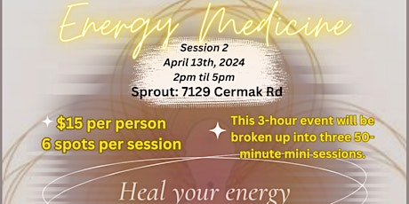 Energy Medicine Workshop 2