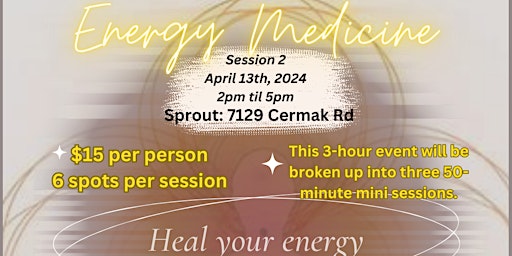 Image principale de Energy Medicine Workshop 2