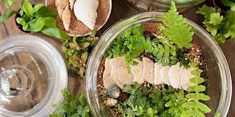 Terrarium Workshops, Macquarie Park