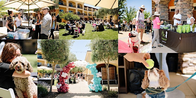 Wag, Wine & Dine - A Culinary Adventure For Pups And Their People! primary image