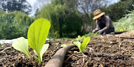 Get Your Garden Growing! Introduction to Organic Vegetable Gardening
