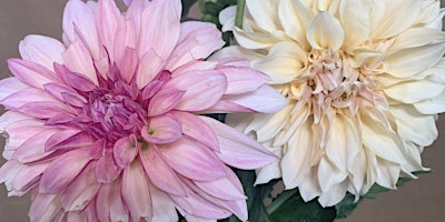 Dahlia Gardening Workshop at Cut Flower Farm in Ogden primary image