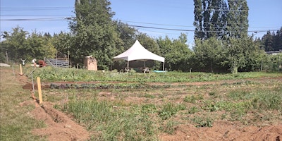 Imagen principal de Gardening Workshop @ the Farm