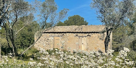 Balade nature en famille dans les collines de Figuerolles