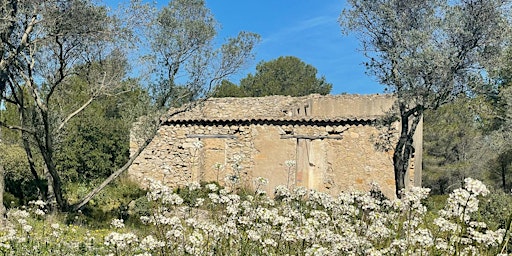 Primaire afbeelding van Balade nature en famille dans les collines de Figuerolles