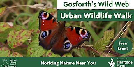 Hauptbild für Urban Wildlife Walk