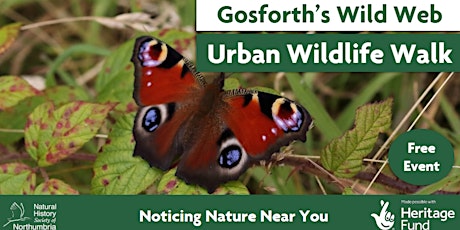 Urban Wildlife Walk