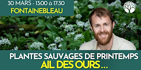 PLANTES SAUVAGES DE PRINTEMPS (AIL DES OURS...)