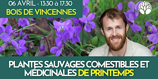 PLANTES SAUVAGES COMESTIBLES ET MÉDICINALES DE PRINTEMPS primary image