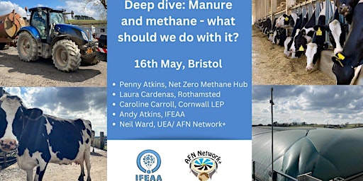 Imagem principal do evento Deep Dive: Manure and Methane - What should we do with it?