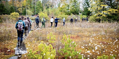 Immagine principale di LGBTQ+ ACCESSIBLE SPRING HIKE AT DISTANT HILL NATURE TRAIL 