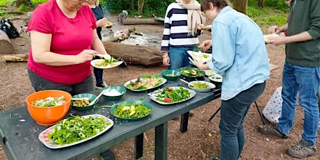 Summer Wild Food Forage Course